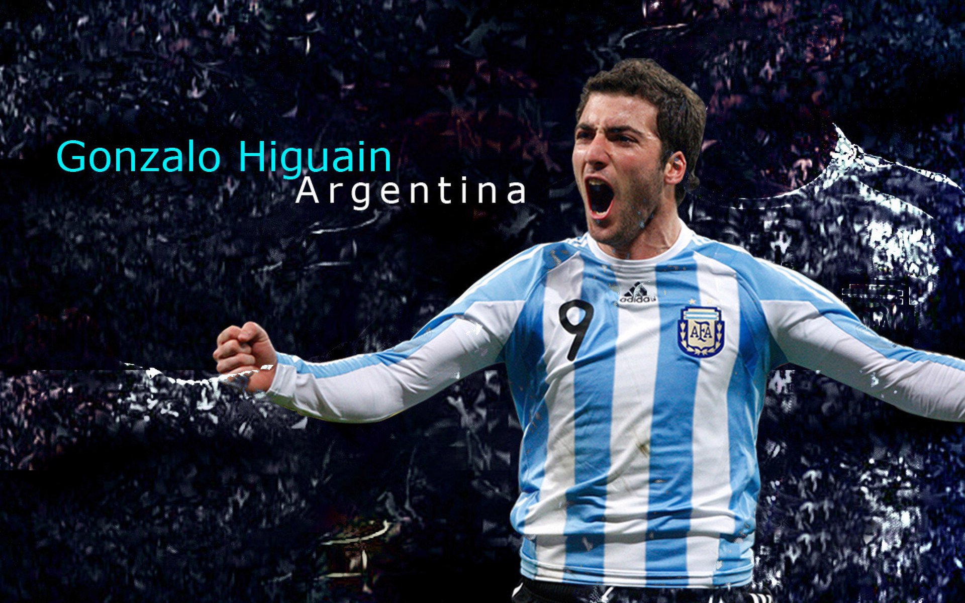 联合杯横扫温网,穆雷刷新纪录,定义网球新传奇